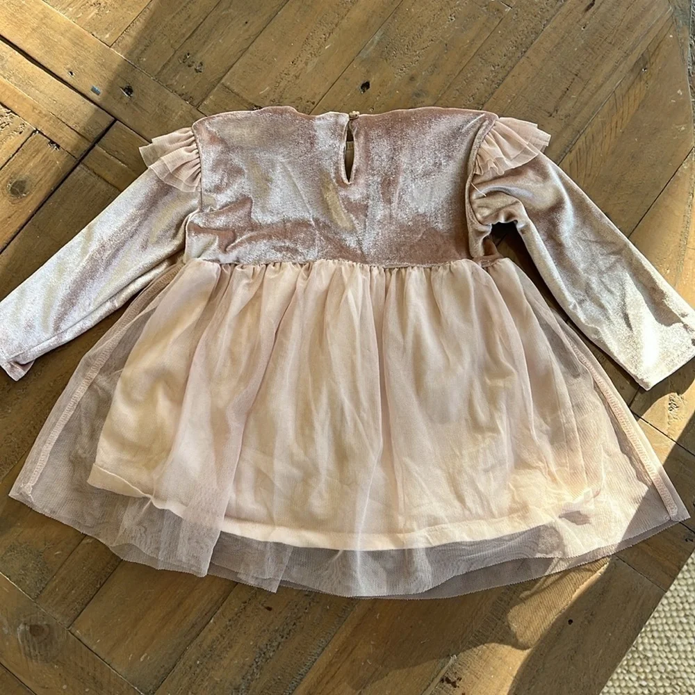 Zara rosy tan velour tulle dress